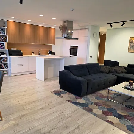Premium Terrace Zaliakalnis Apartment