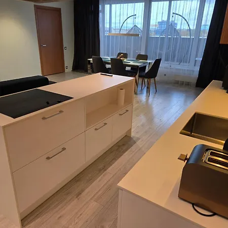 Apartment Premium Terrace Zaliakalnis Kaunas