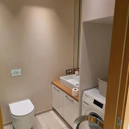 Premium Terrace Zaliakalnis Apartment Kaunas